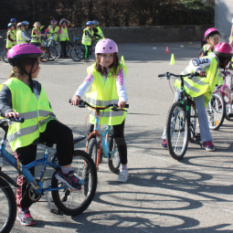 Recherches en didactique sur l’école primaire