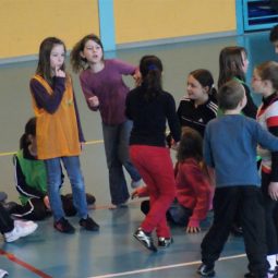 [Mémoire de CAFIPEMF] Le langage, outil et objet en EPS (étude de cas en sport collectif)