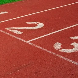 EPS : à quoi sert une classification d’APS ?