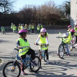 Synthèse Enquête sur les « écoles vitaminées à l’EPS »